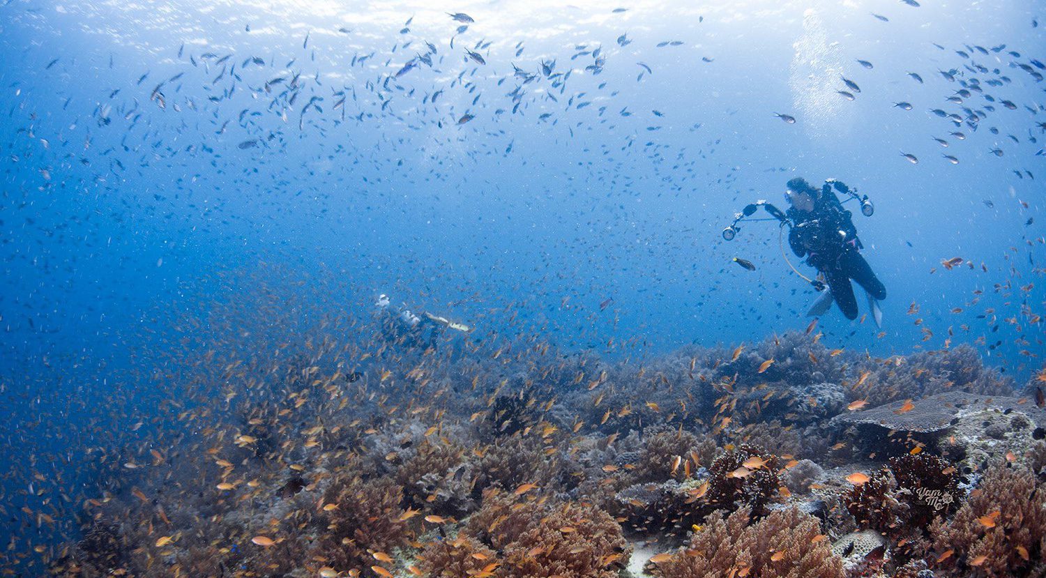Scuba Diving in Southern Leyte Philippines